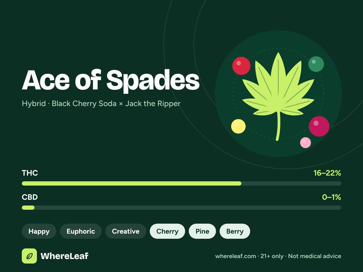 Ace of Spades