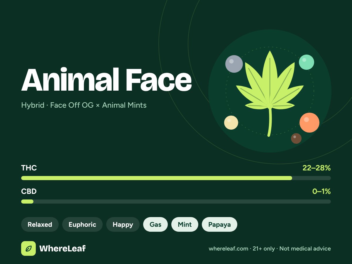 Animal Face