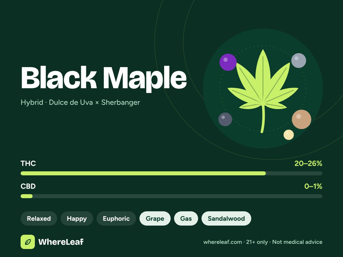 Black Maple