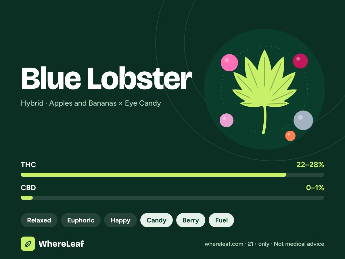 Blue Lobster