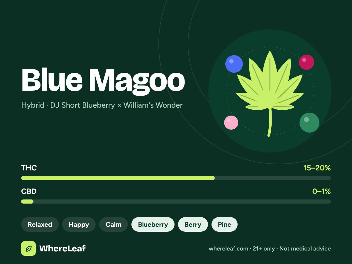 Blue Magoo