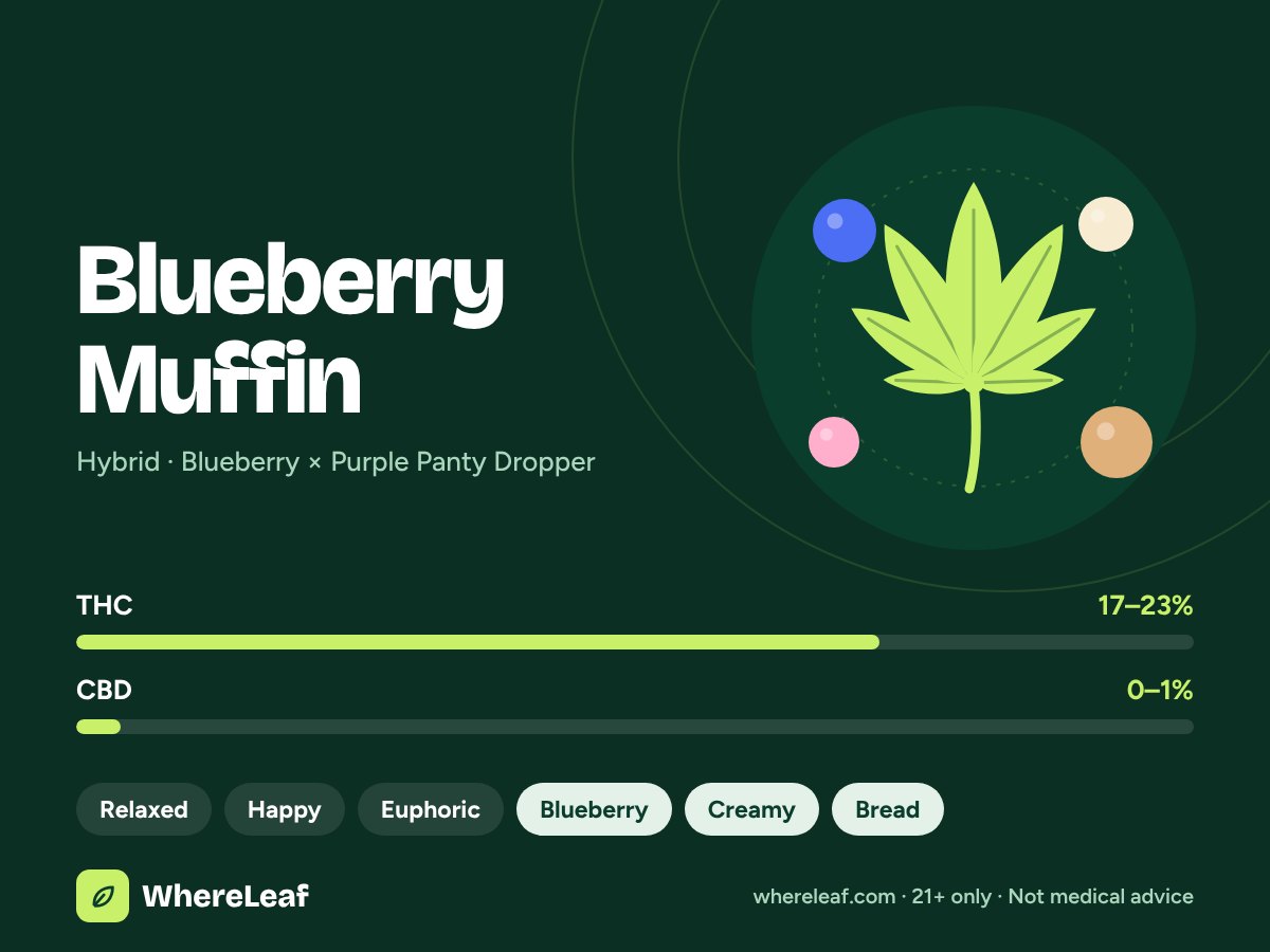 Blueberry Muffin