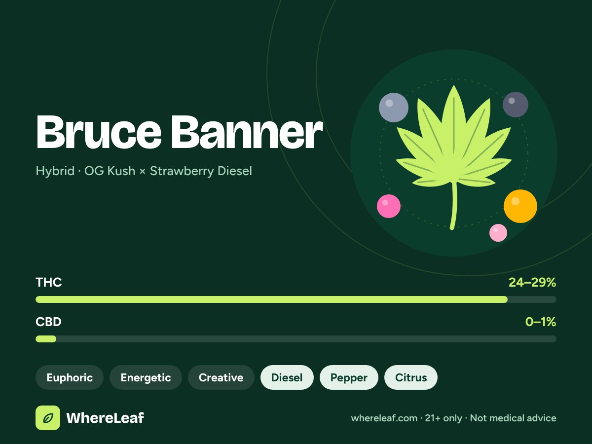 Bruce Banner