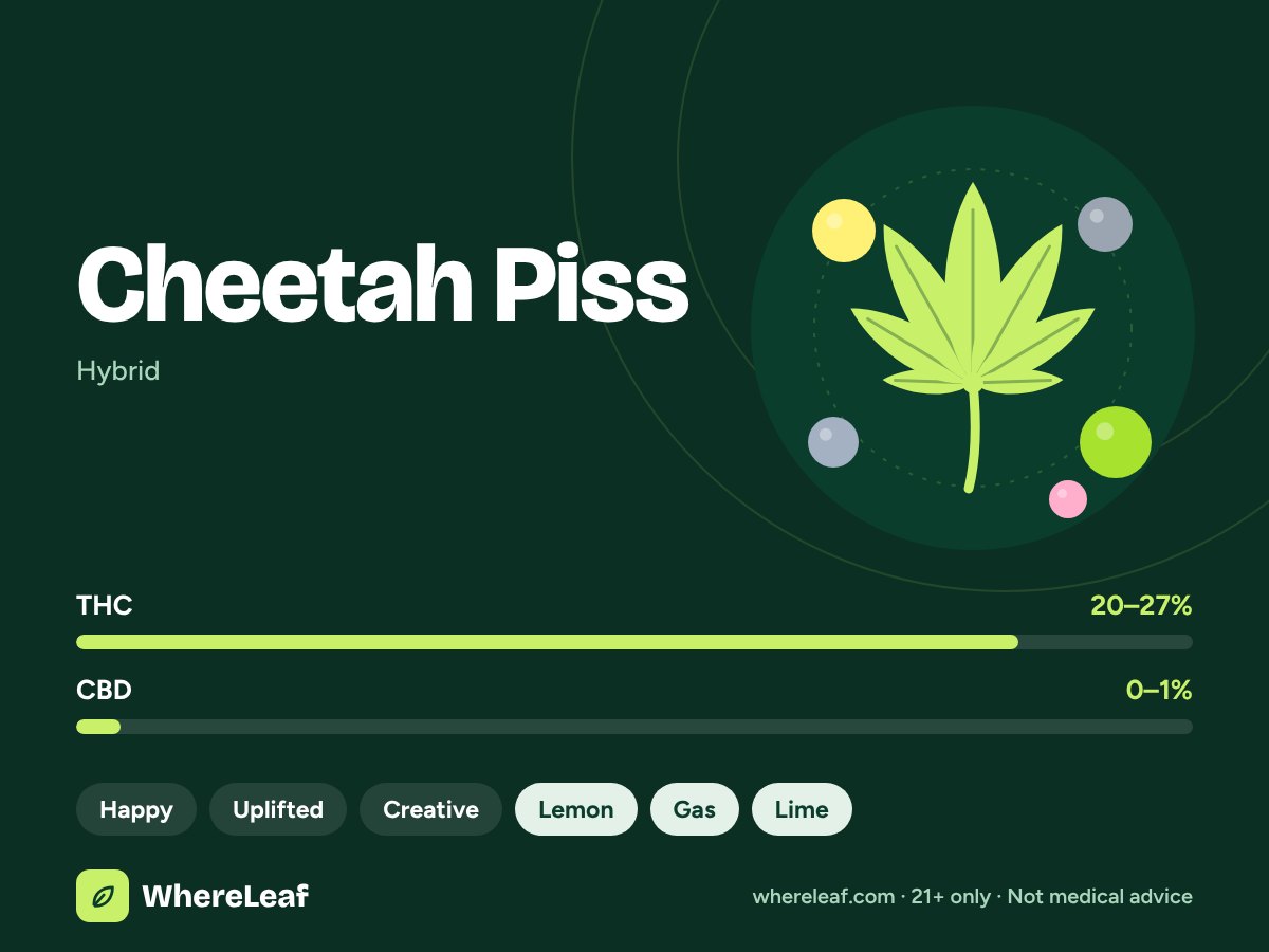 Cheetah Piss