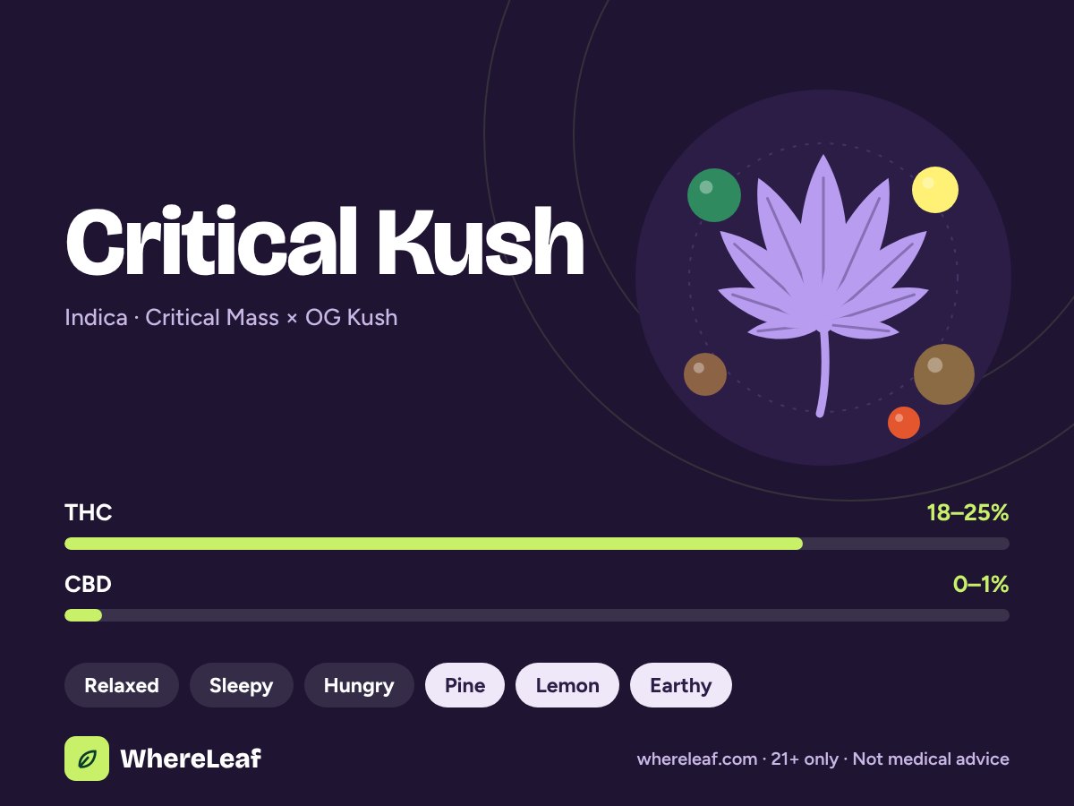 Critical Kush