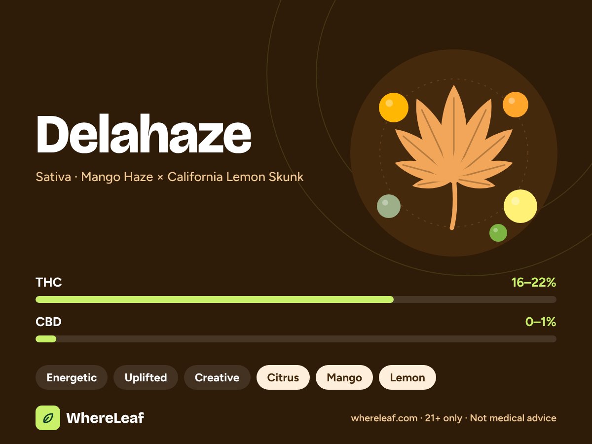 Delahaze