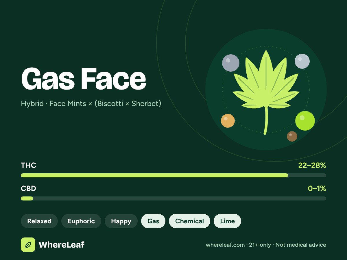 Gas Face