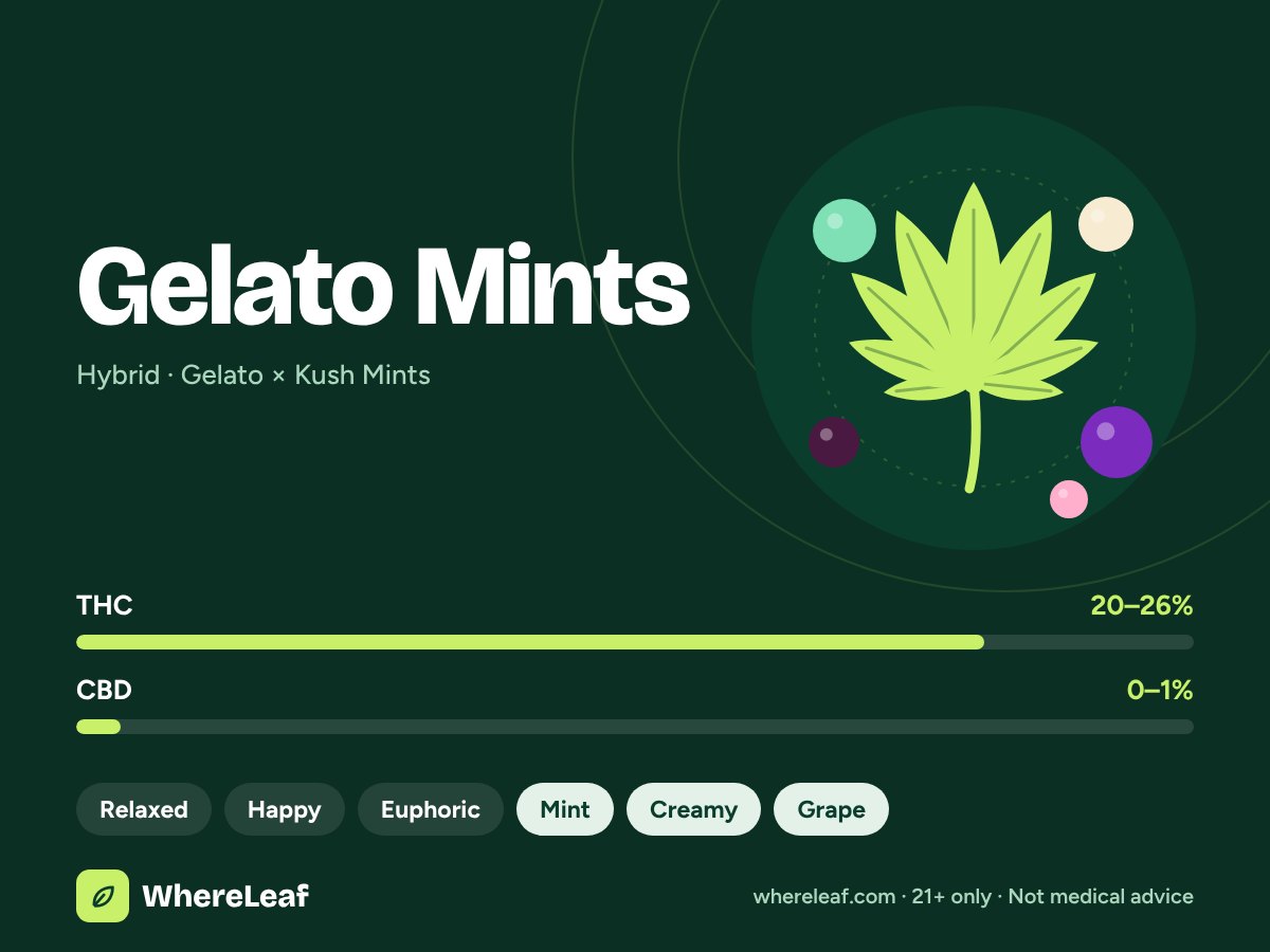 Gelato Mints