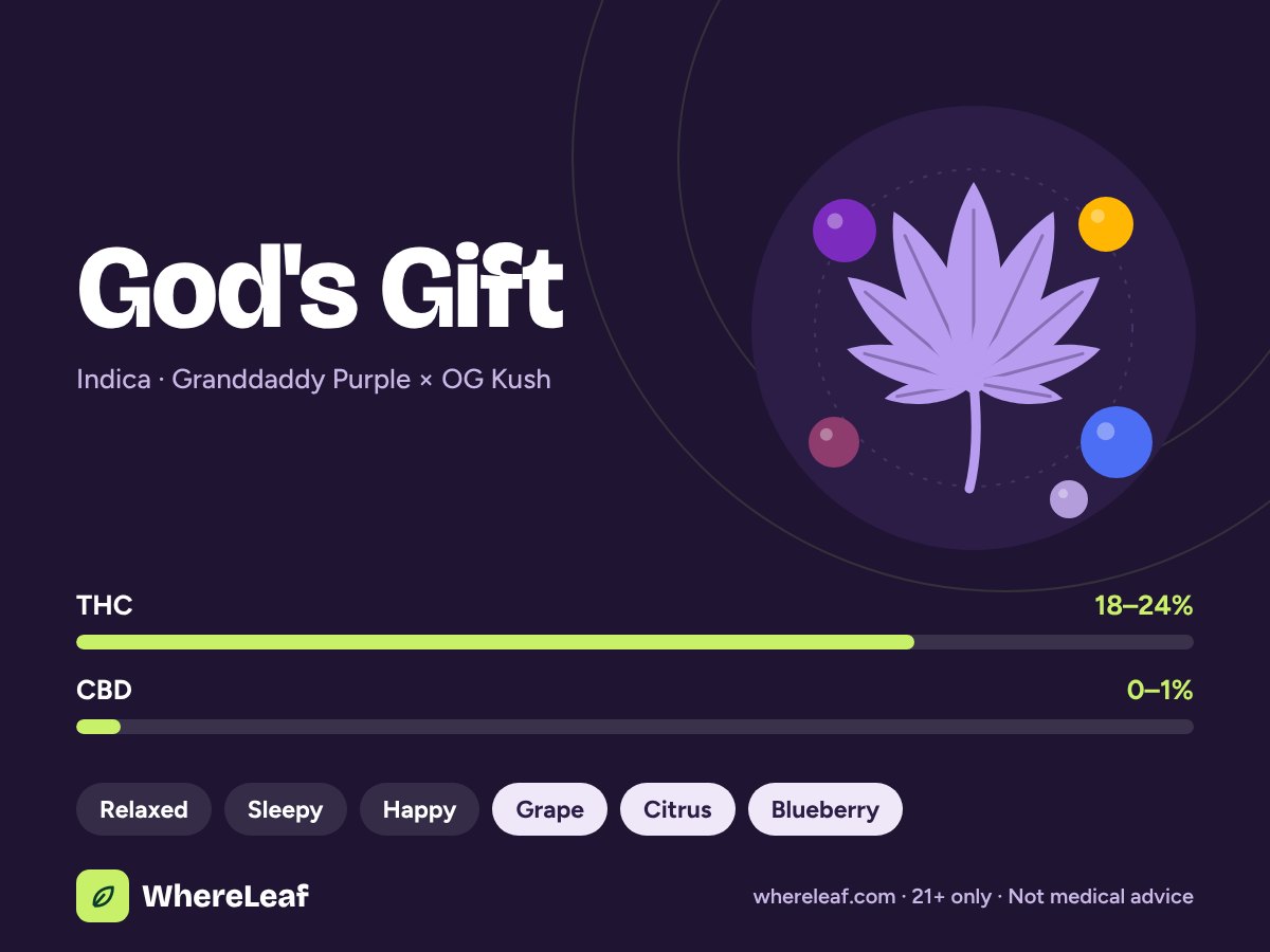God’s Gift