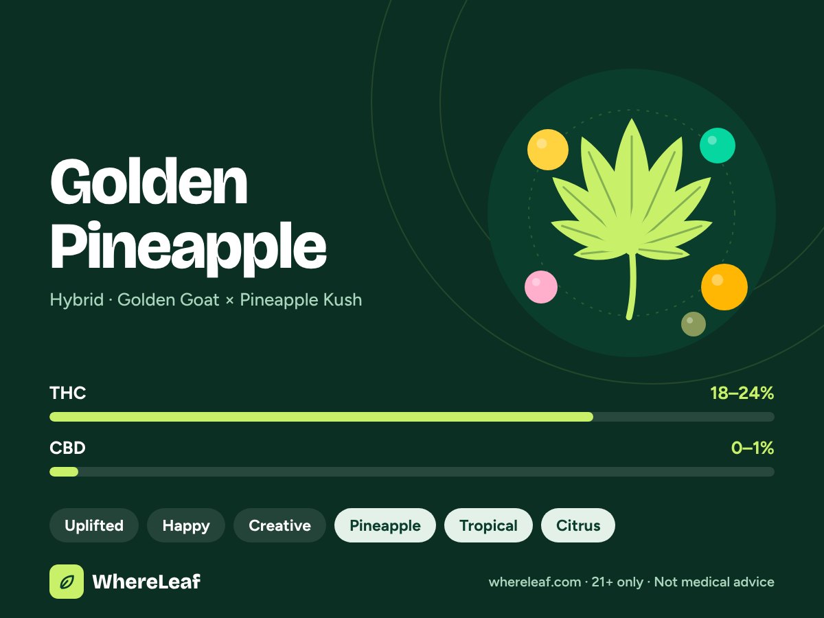 Golden Pineapple
