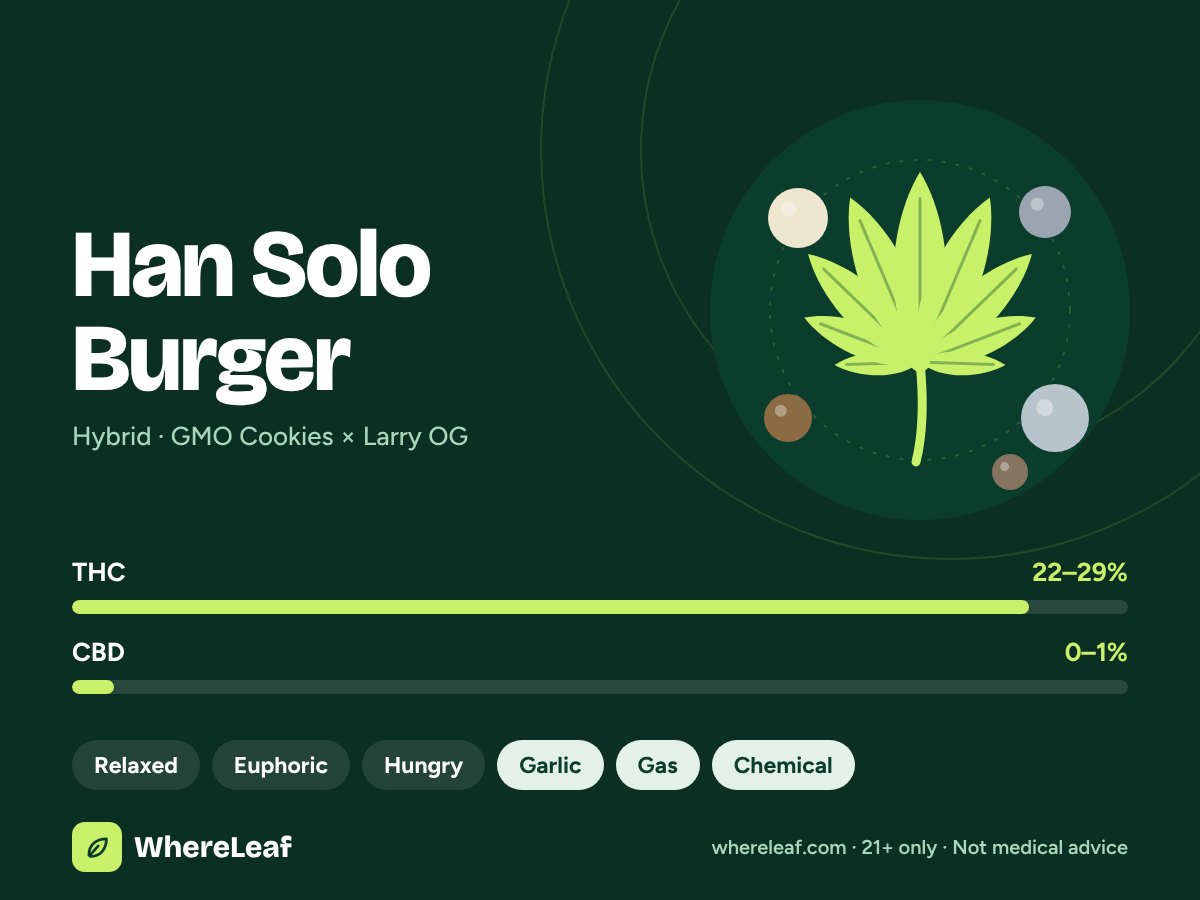 Han Solo Burger