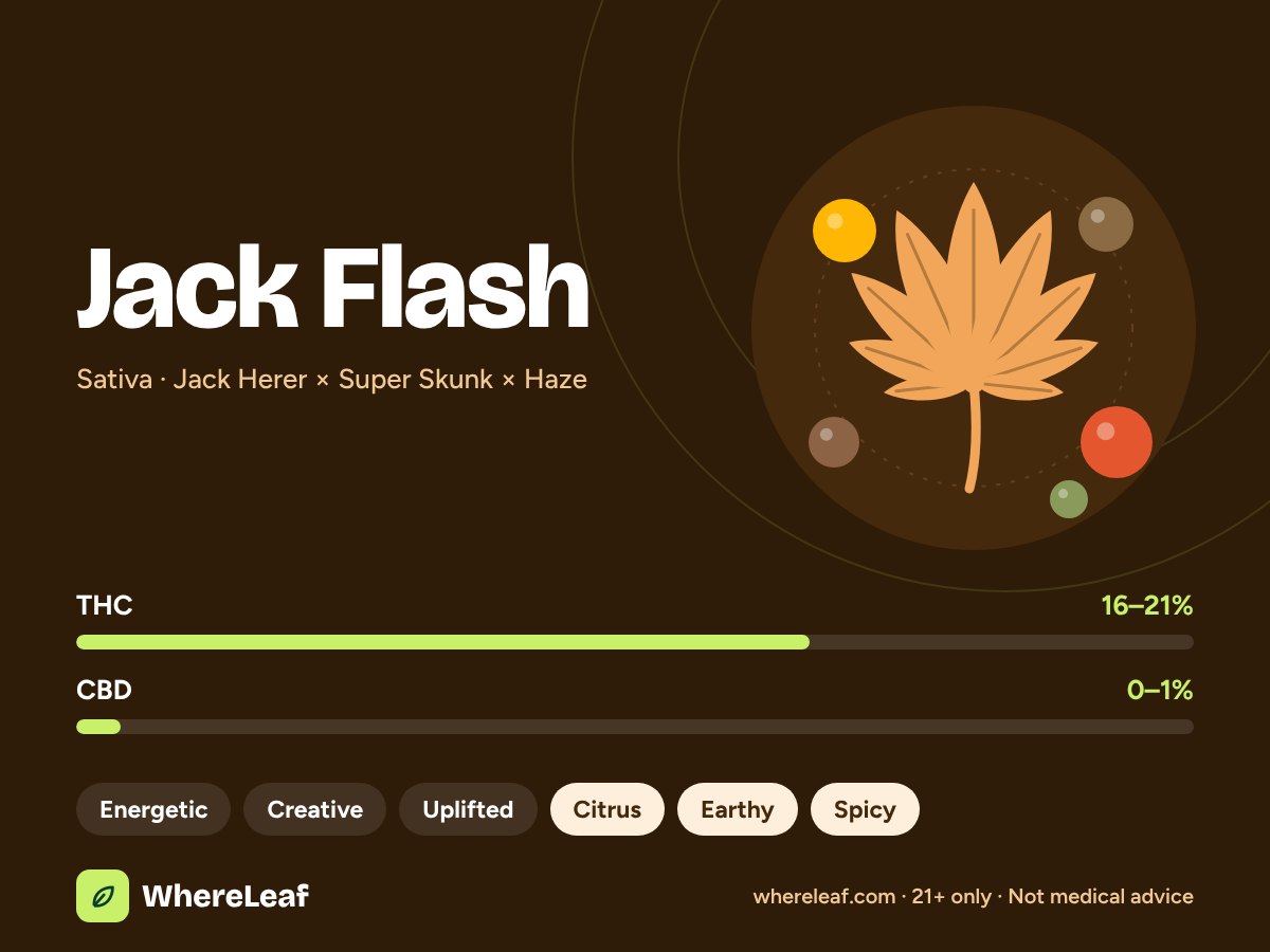 Jack Flash