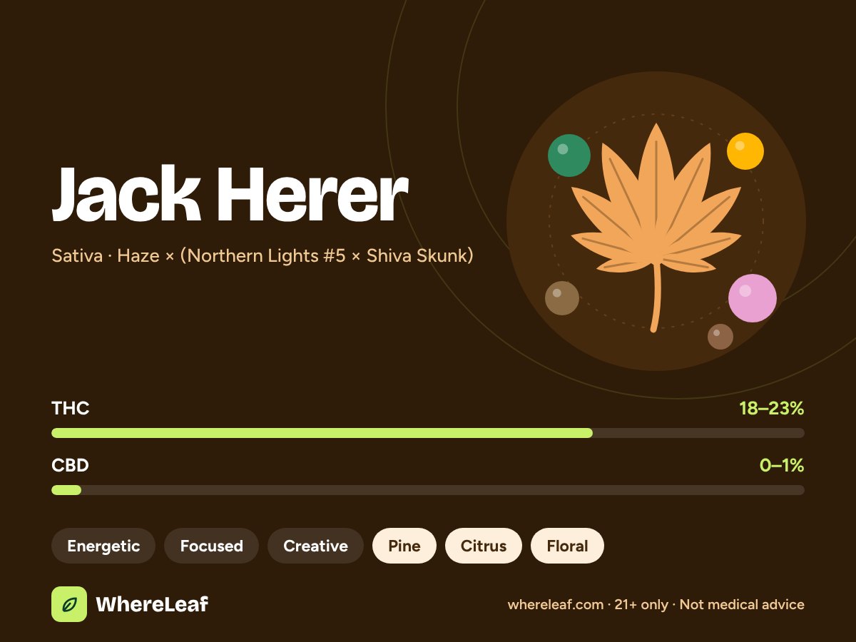 Jack Herer