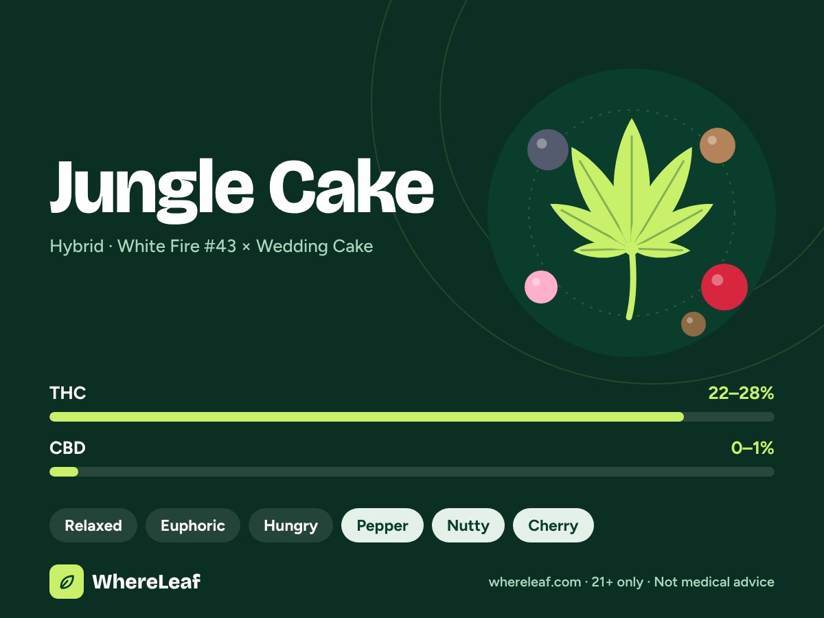 Jungle Cake