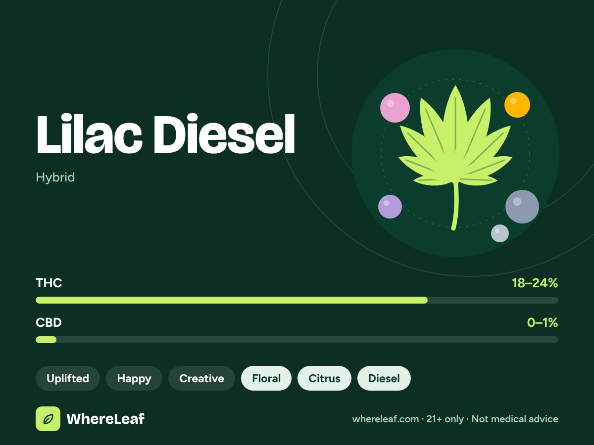 Lilac Diesel