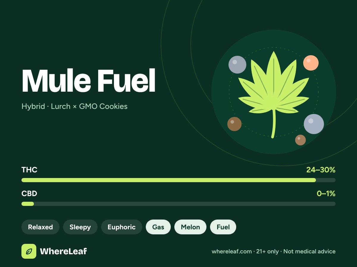 Mule Fuel