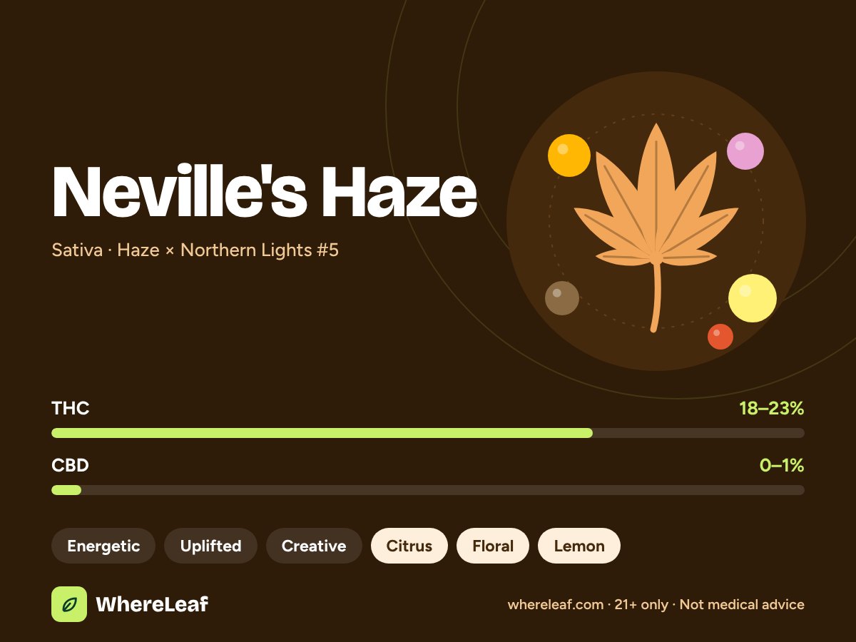 Neville’s Haze