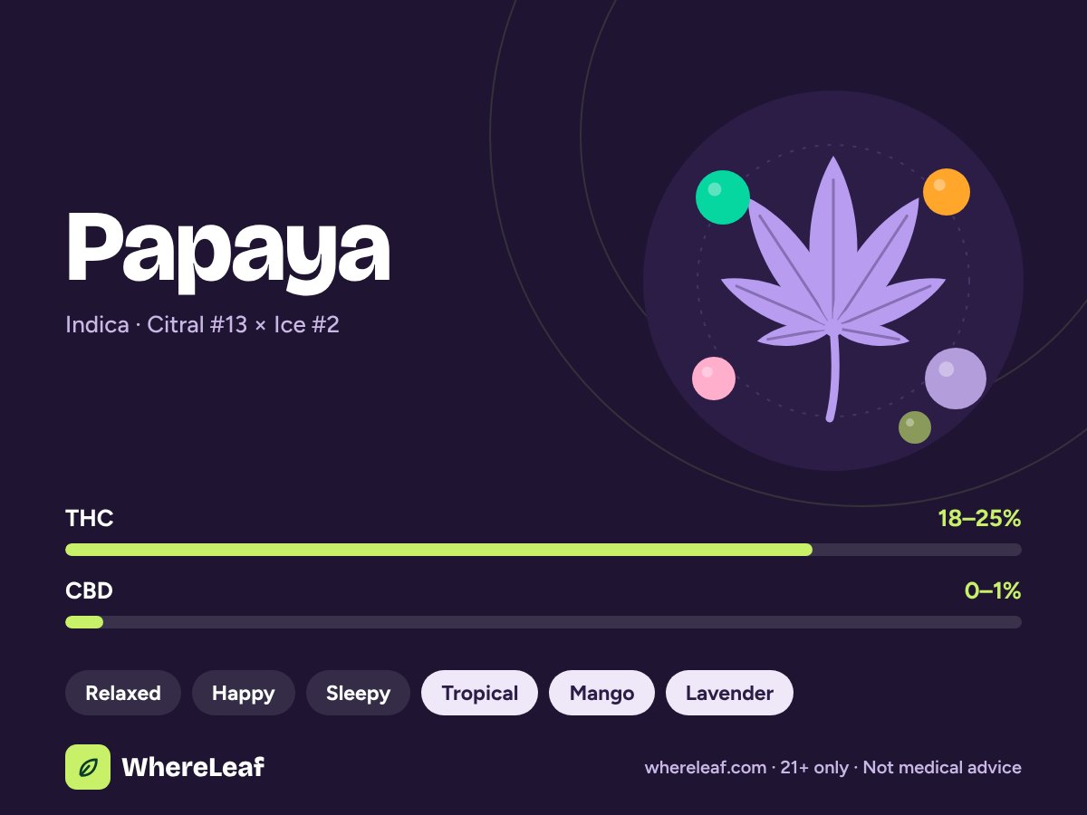 Papaya