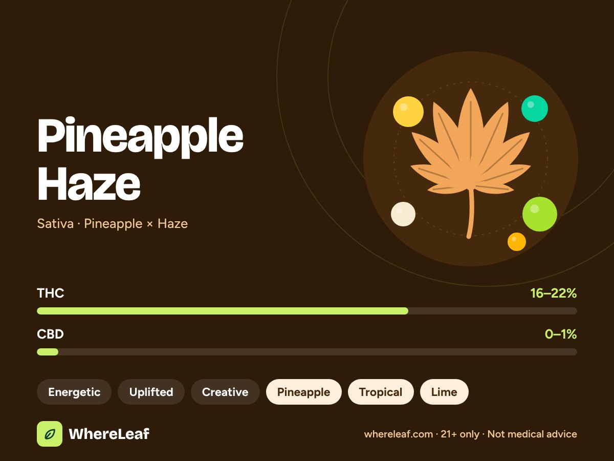 Pineapple Haze