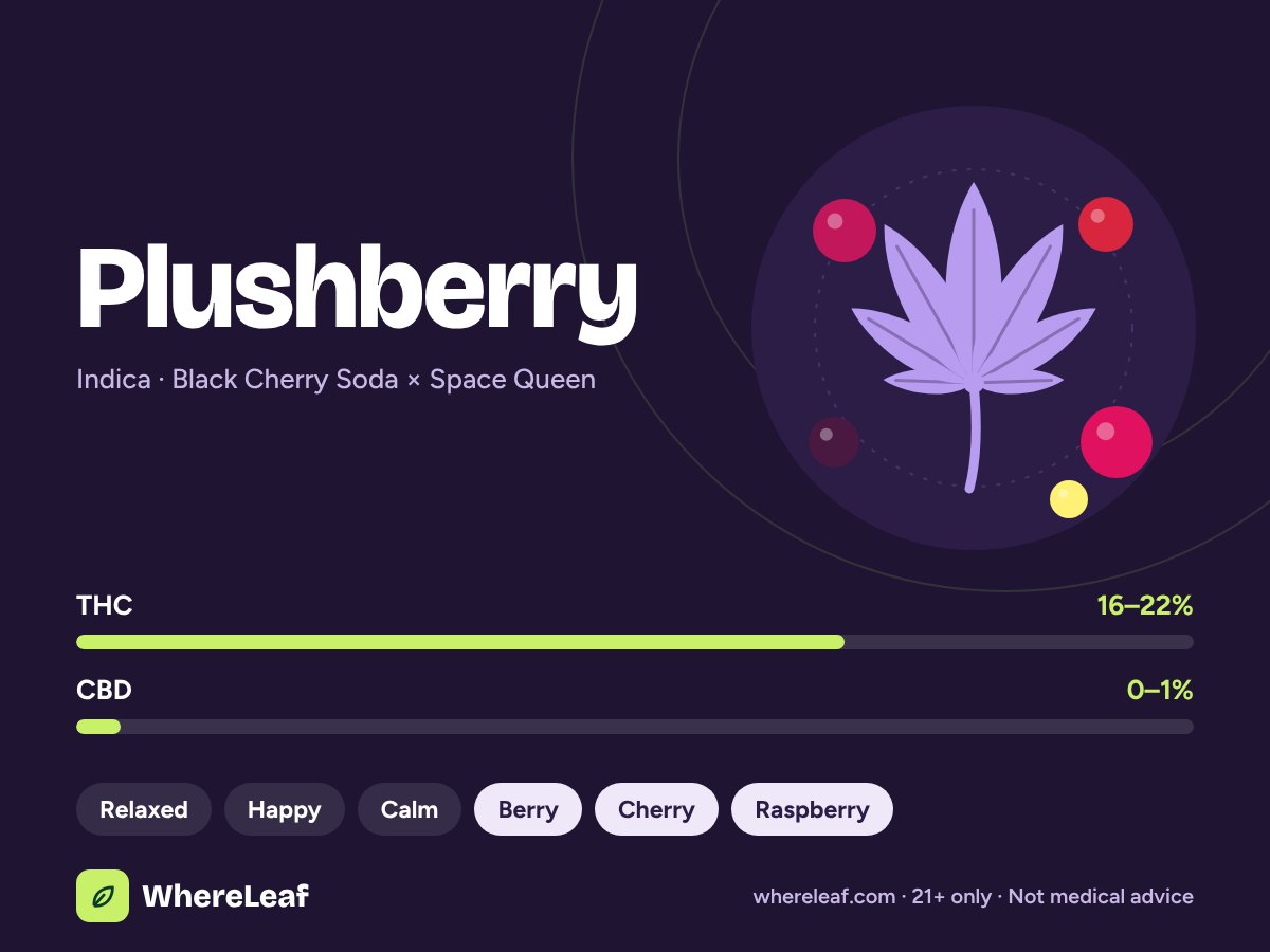Plushberry