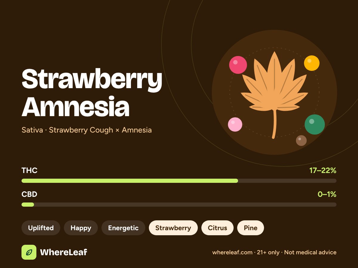 Strawberry Amnesia
