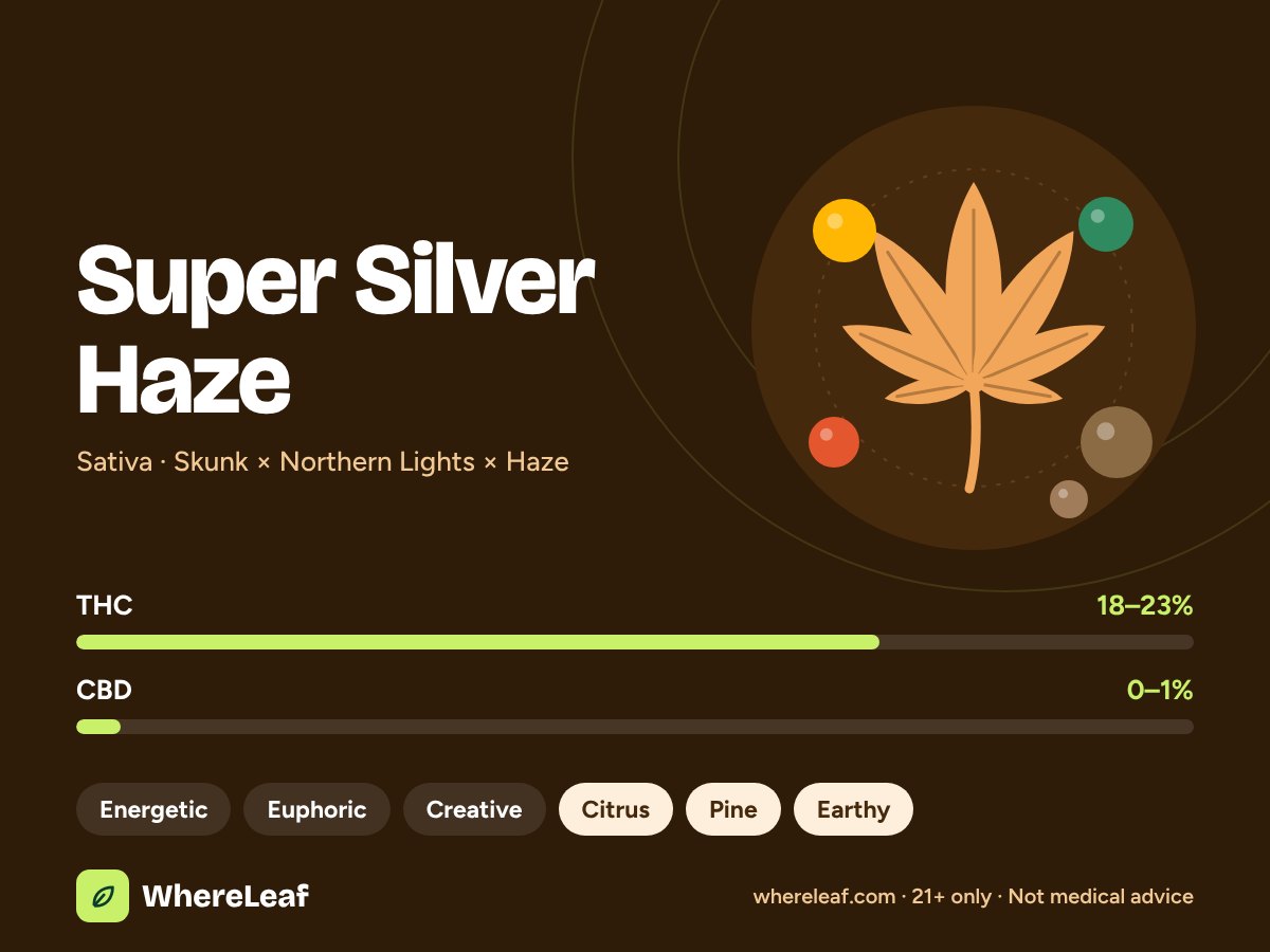 Super Silver Haze
