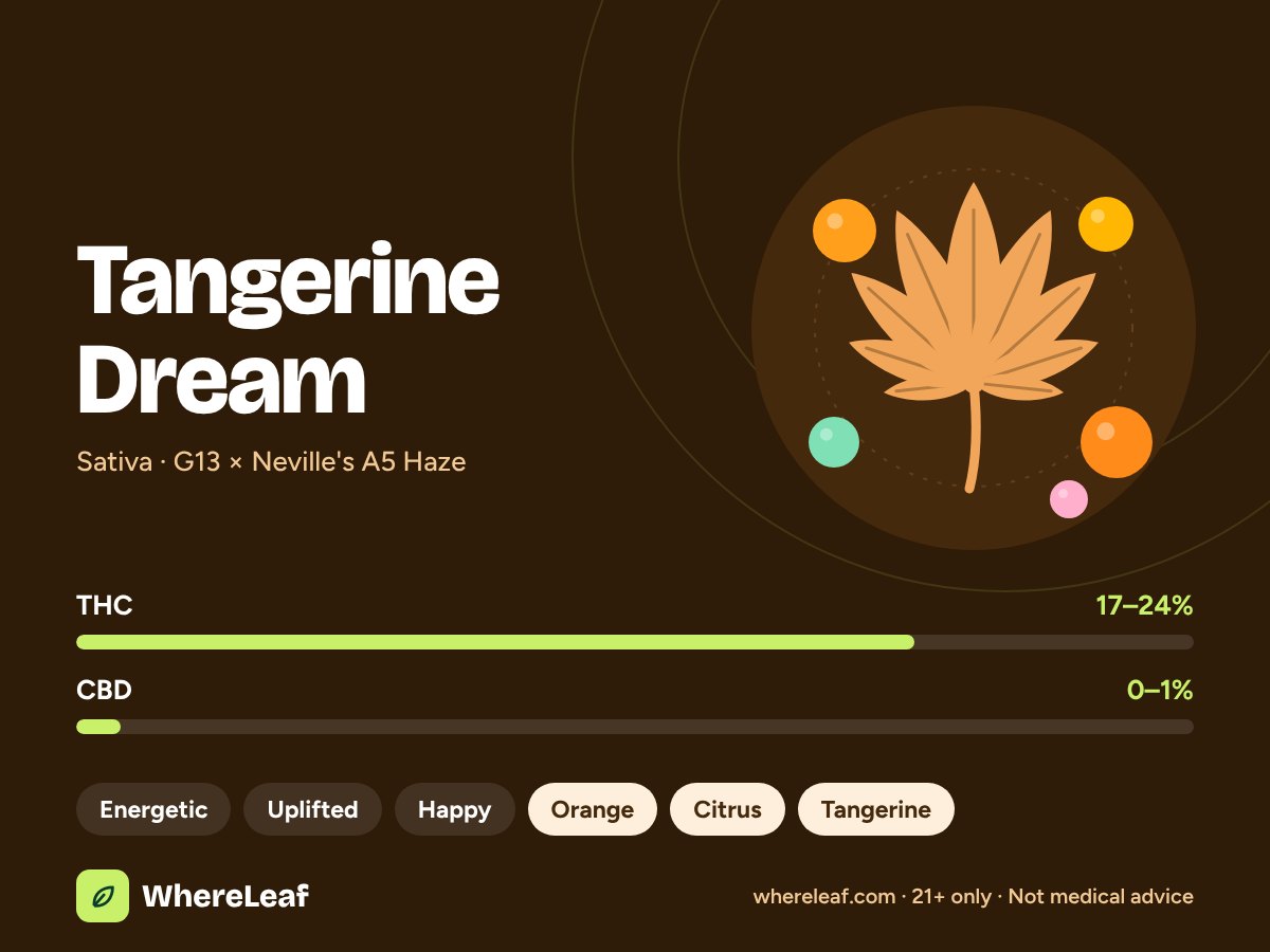Tangerine Dream