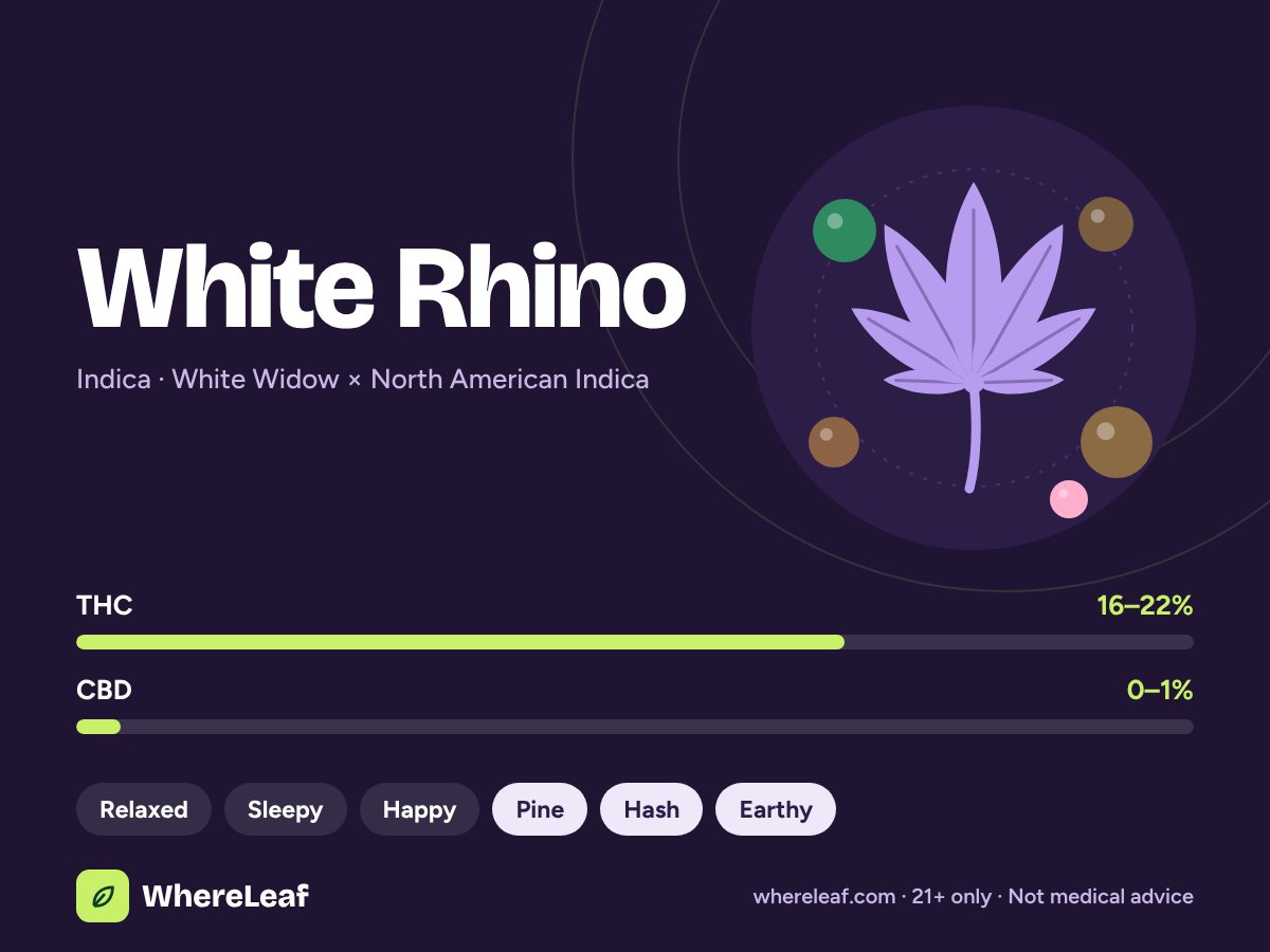 White Rhino